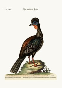 Quan eller Guan, 1749-73